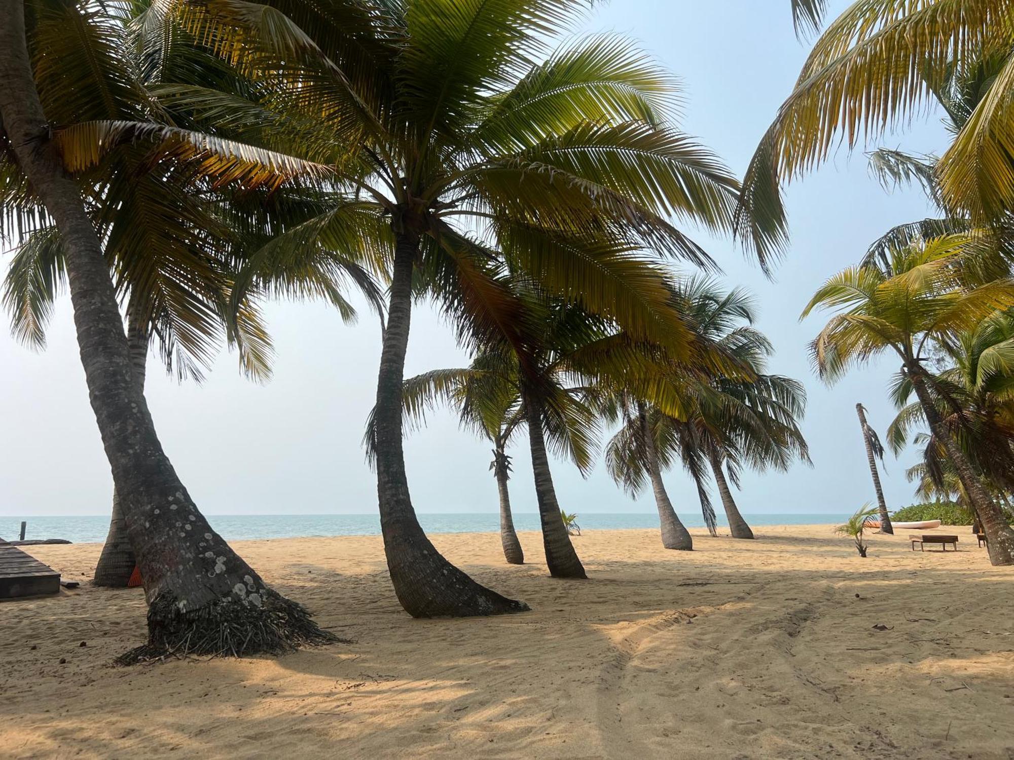 Sabal Beach Пунта-Горда Экстерьер фото